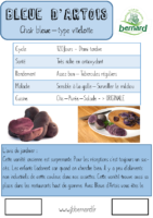 BLEUE D’ARTOIS