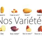 Nos Variétés