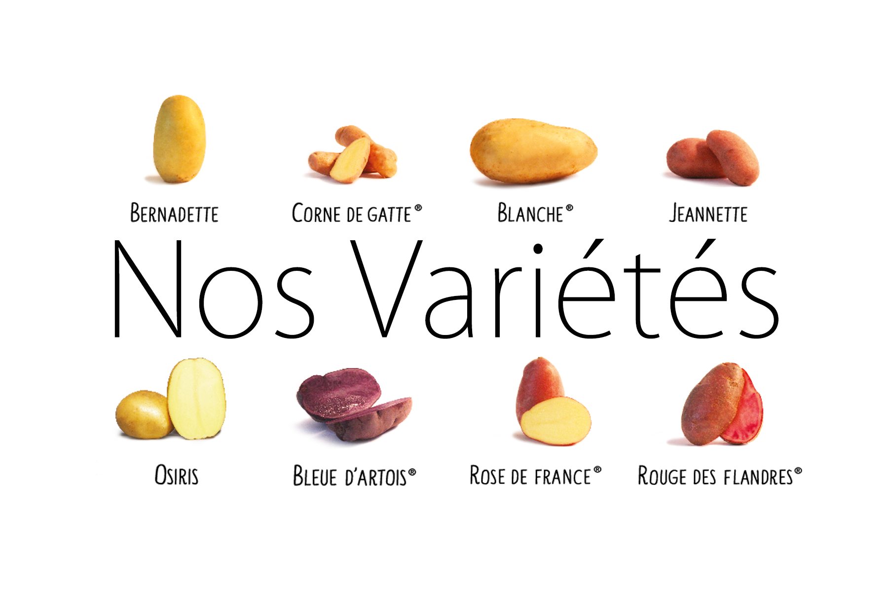 Nos Variétés